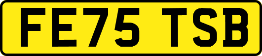 FE75TSB