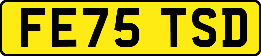 FE75TSD