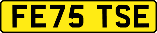 FE75TSE