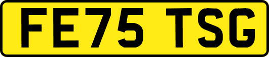 FE75TSG