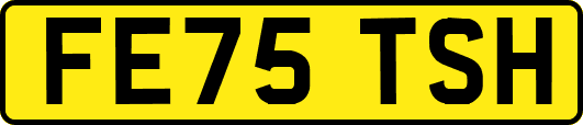 FE75TSH