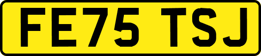 FE75TSJ