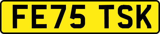 FE75TSK