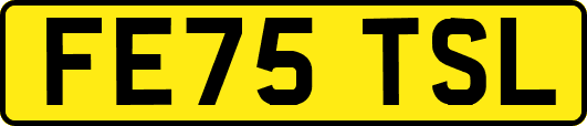 FE75TSL