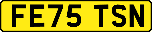 FE75TSN