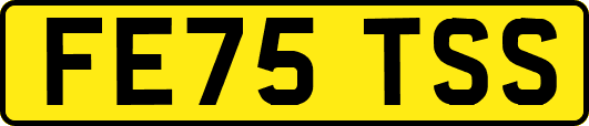 FE75TSS