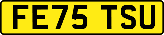 FE75TSU