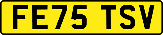 FE75TSV