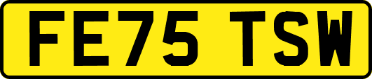 FE75TSW