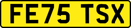FE75TSX