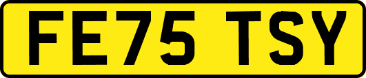 FE75TSY