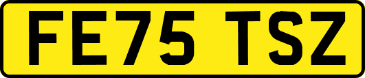 FE75TSZ