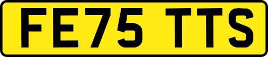 FE75TTS