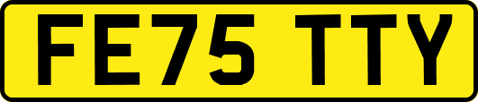 FE75TTY