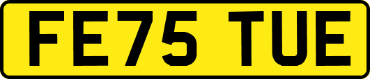FE75TUE