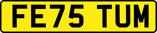 FE75TUM