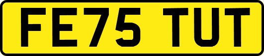 FE75TUT