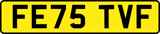 FE75TVF