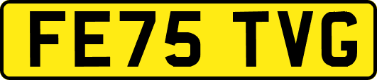 FE75TVG