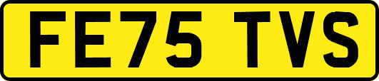 FE75TVS
