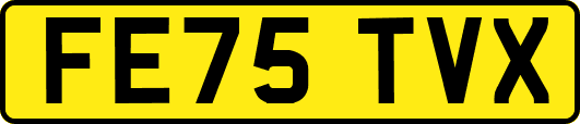 FE75TVX