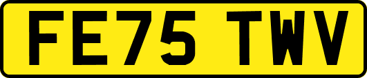 FE75TWV