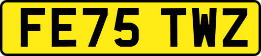 FE75TWZ