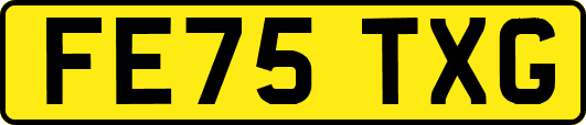 FE75TXG