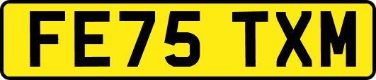 FE75TXM