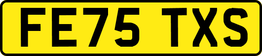 FE75TXS