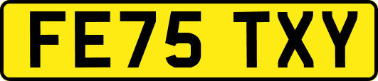 FE75TXY