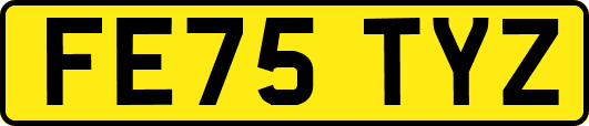 FE75TYZ