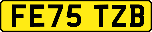 FE75TZB