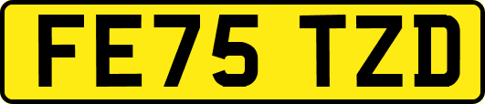 FE75TZD
