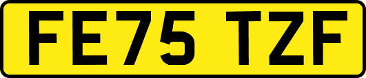 FE75TZF
