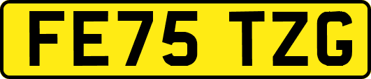 FE75TZG