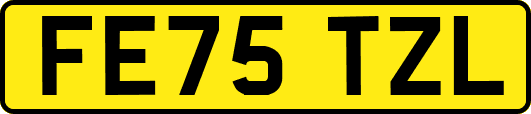 FE75TZL