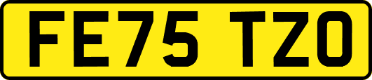 FE75TZO