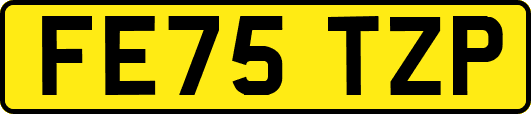 FE75TZP