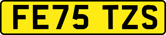 FE75TZS