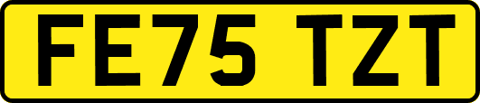 FE75TZT