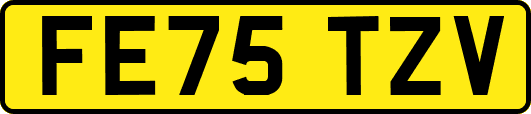 FE75TZV
