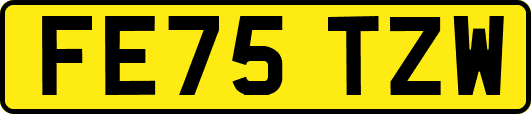 FE75TZW