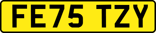 FE75TZY