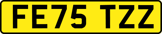 FE75TZZ