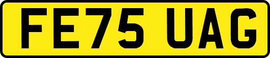 FE75UAG