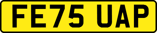 FE75UAP