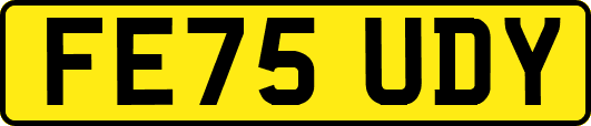 FE75UDY