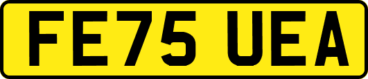FE75UEA