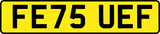 FE75UEF